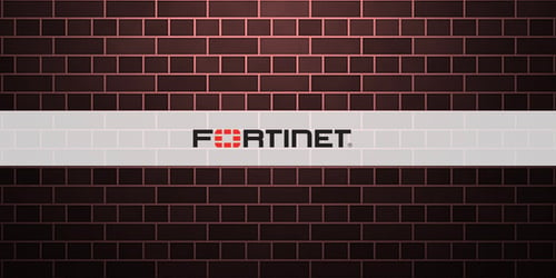 Fortinet2-1