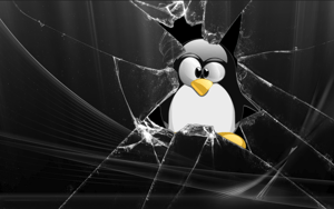 Linux vulnerability2-1