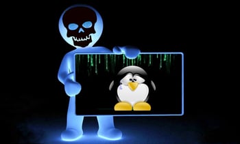 Linux vulnerability3