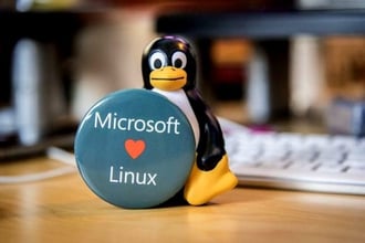 Micro Linux