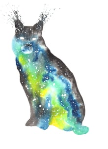 cosmic lynx