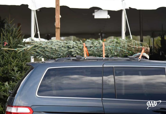AAA: How to Get Your Christmas Tree Home Safely