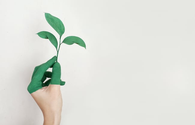 Reducing the Carbon Footprint of Your Marketing Practices