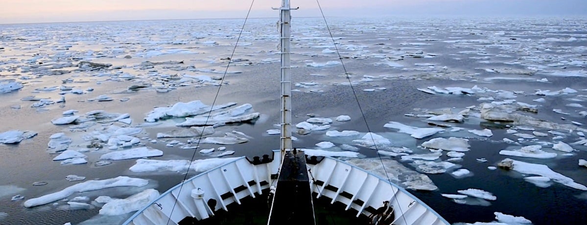 The Arctic is Growing into the Business Power of the Future