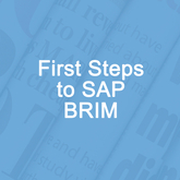 First Steps to SAP BRIM