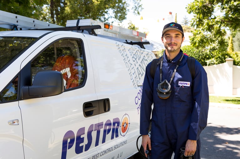 Top 8 Reasons to Hire A Professional Pest Control Company for Commercial Property