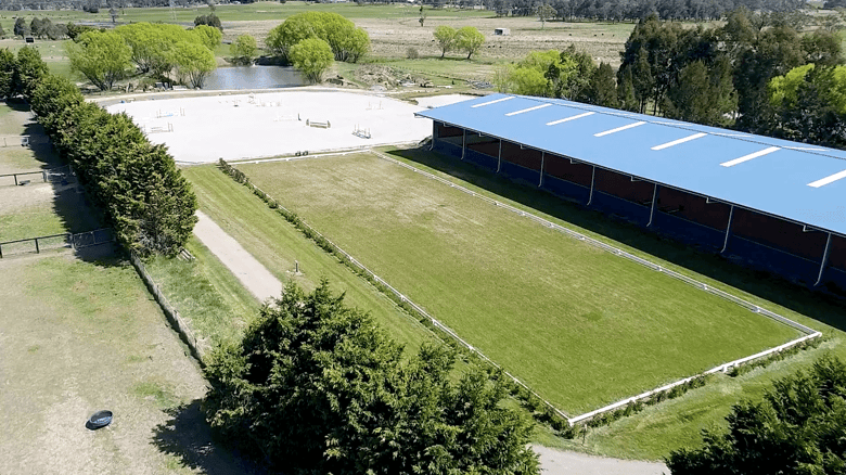 Building the perfect training arena