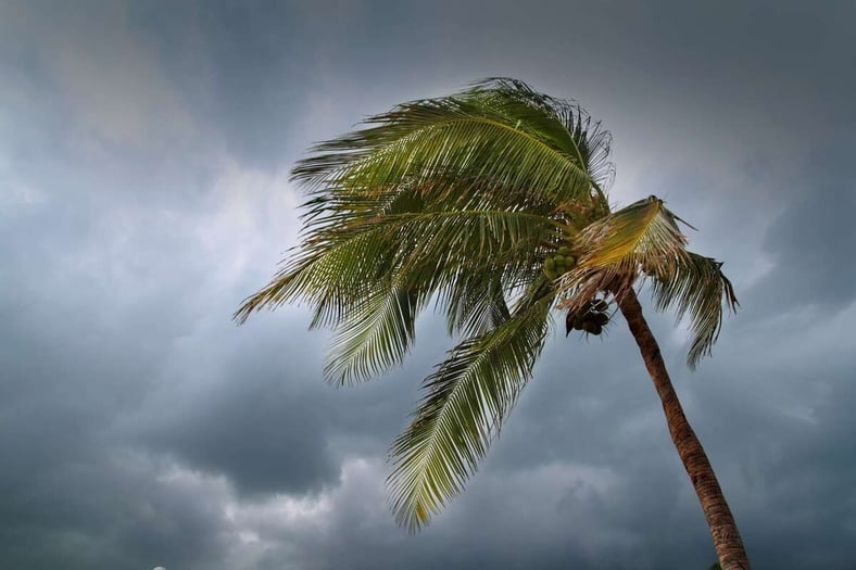 How Natural Disasters Impact Rental Property ROI