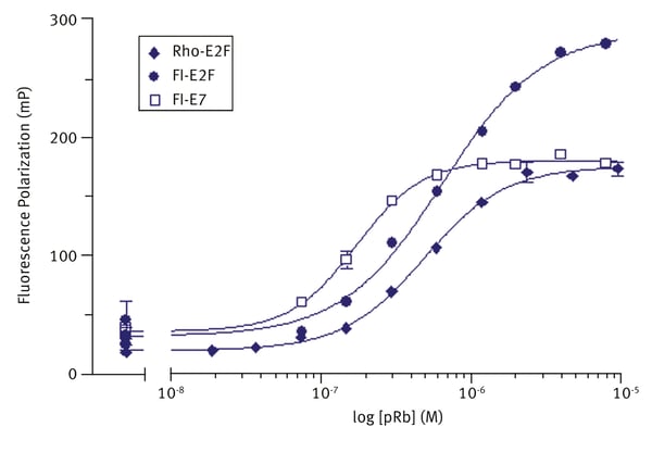 Fig. 2: Binding of fluorescein-E2F, rhodamine-E2F and fluorescein-E7 to pRb.
