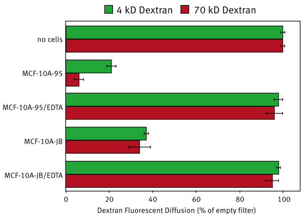 Fig. 2: Paracellular permeability of cultures incubated with dextran in the absence or presence of EDTA, which dissociates cell-cell junctions, was compared with diffusion across empty ﬁ lters. Note, only the MCF-10A-95 strain develops a electrically resistant barrier that restricts paracellular ﬂ ux by size.