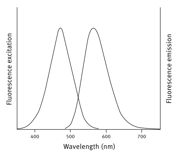 Fig. 1: Excitation and emission spectra of the NanoOrange reagent (Copyright Invitrogen Corporation. Used with permission).