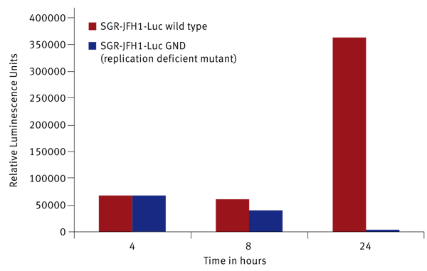Fig. 2: Time course of SGR-JFH1-Luc wild type and replication deﬁcient mutant (GND) luciferase levels over 24 hours.