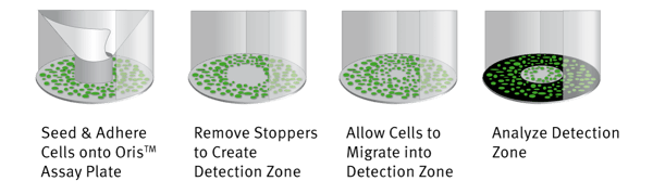 Fig. 1: Oris Cell Migration Assay system for Platypus Technologies.