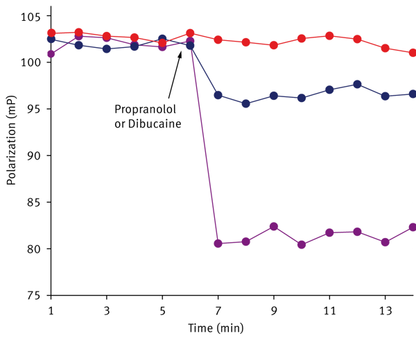 Fig. 4: Effect of propranolol and dibucaine on FP measured in DPH-labeled PC/PE/PS/PI/CL liposomes (above) and isolated mitochondria (below). Arrows indicate the addition of drug - 40 µM propranolol (light-blue line), 80 µM propranolol (dark- blue line), 80 µM dibucaine (purple line), control (red line). Red lines – control samples. Incubation conditions are the same as in Fig. 1 and 2.