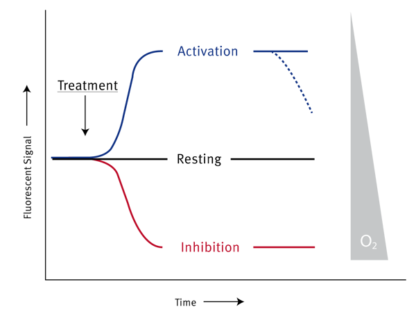 Fig. 2: Diagrammatic representation of MitoXpress Intra probe proﬁles in response to drug treatment.