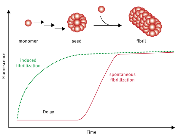 Fig. 1: Fibrillization process followed over time.
