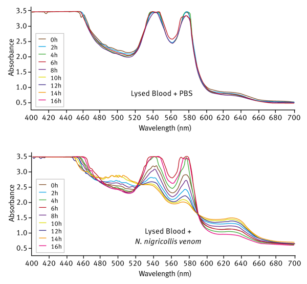 Fig. 2: Time-dependent change in haemoglobin absorbance spectrum in the presence of N.nigricollis venom Lysed sheep blood incubated with PBS only (upper graph) or N. nigricollis venom (lower graph). Spectrum recorded at 2 hour intervals.