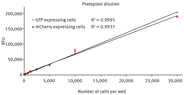 Fig. 3: GFP protoplast expression measured at 480/519 nm. mCherry protoplast expression measured at 562/603 nm.
