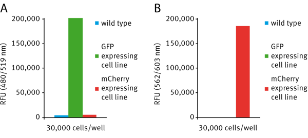 Fig. 4: A GFP ﬂuorescence measured for wild type, GFP and mCherry expressing cell lines. B mCherry ﬂ uorescence measured for wild type, GFP and mCherry expressing cell lines.