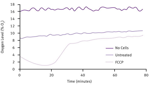 Fig. 4: Measuring the effect of drug treatment on cellular oxygenation, with HepG2 3D RAFT™ structures using MitoXpress Intra at 21% applied oxygen.