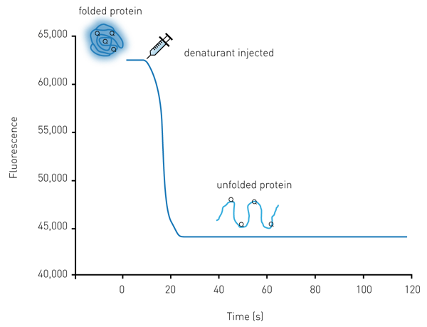 Fig. 1: Kinetic protein unfolding assay principle. The folded form of the protein exhibits relatively high intrinsic Trp fluorescence. Injection of a denaturing solution leads to protein unfolding and a decrease in fluorescence that can be monitored in real-time for many proteins.