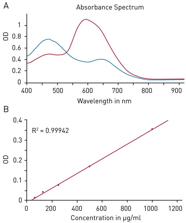 Fig. 2: Bradford protein quantiﬁcation assay. A) Absorbance spectrum of Coomassie Brilliant Blue G 250 (without protein – blue, in presence of BSA – red) B) Protein standard curve of BSA.