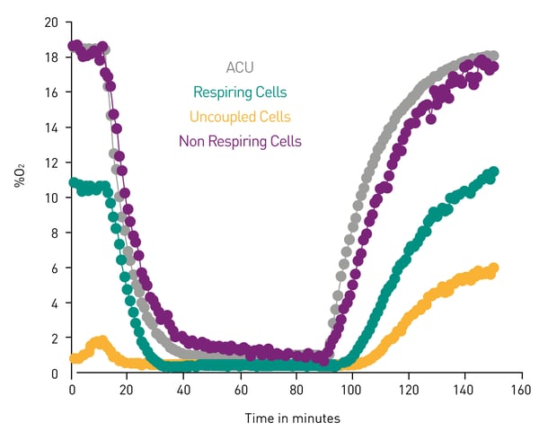Fig. 3: Ischemia-reperfusion proof-of-concept using HepG2 cells. Ischemia-reperfusion insult induced by modulating O2 in the measurement chamber. Cellular oxygenation is monitored in respiring, non-respiring (Antimycin treated), and uncoupled (FCCP treated) cells.