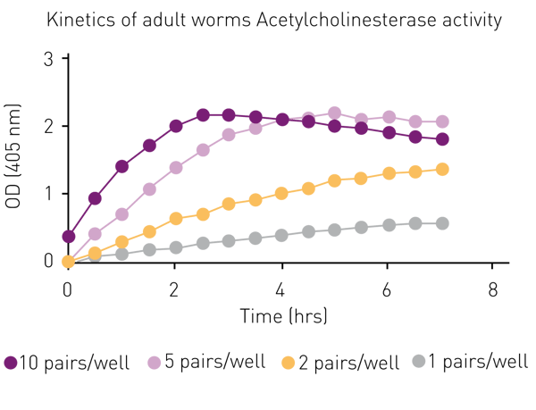 Fig. 2: Kinetic data for processing of acetylcholinesterase substrate by adult schistosomes.