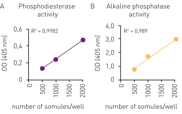 Fig. 4: Correlation of phosphodiesterase activity (absorbance at 405 nm) with number of schistosomula per well (in duplicate) after 17 hours (A). Correlation of alkaline phospha- tase activity (absorbance at 405 nm) with schistosomula per well (in duplicate) after 4 hours (B).