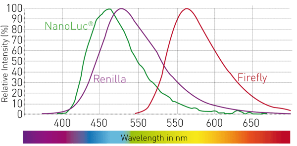 Fig. 1: Emission spectra of luciferases. For multiplexing, these can only be combined with red-shifted ﬂuorophores (emission > 650 nm).