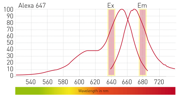 Fig. 2: Excitation and emission spectrum of AlexaFluor 647.