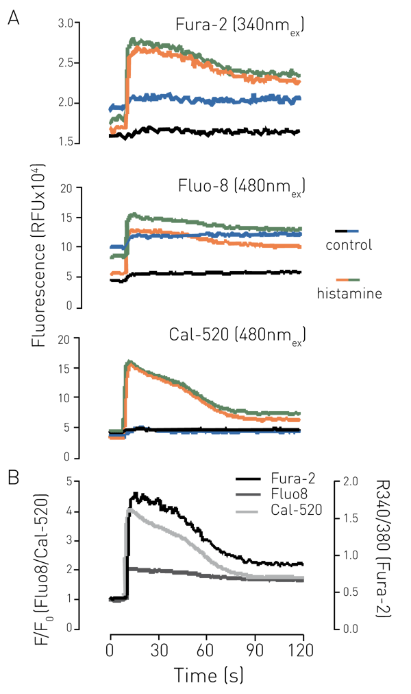 Fig. 3: Intracellular Ca2+ measurements in a 96-well plate using various calcium dyes. Cells were loaded with 2µmol/L dye and stimulated with either ddH2O (control) or histamine (10µmol/L). Duplicate traces are shown in A, and mean data is shown in B as either baseline-corrected (F/F0) or as the ratio of ﬂ uorescence intensity at 340/380nmex.