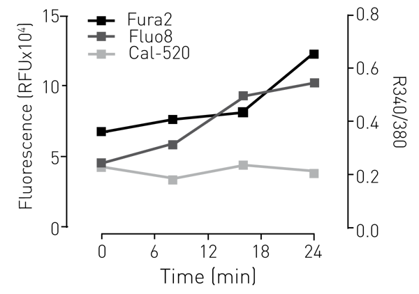 Fig. 3: Increases in baseline ﬂuorescence or R340/380 over time in well kinetic mode.
