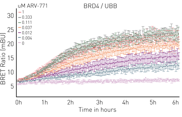 Fig. 4: NanoBRET™ ubiquitination assay. ARV-771 induces rapid and dose-dependent ubiquitination of BRD4. Data are expressed in milliBRET units (mBU) and error bars represent standard deviation of n=4 replicates.