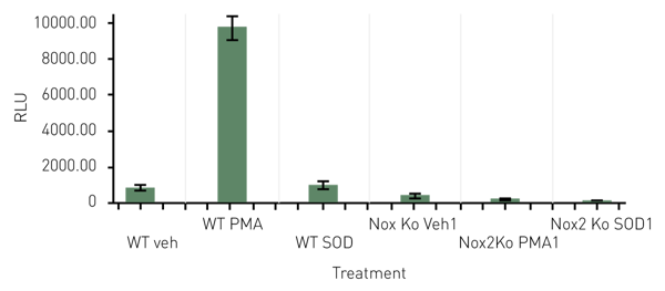 Fig. 4: Superoxide production measured by L-012 in WT and NOX2 KO cells. BMiDCs from the indicated backgrounds were treated as shown and luminescent signal assessed at a 1 hour post-treatment time point. Average (n=3) are presented.