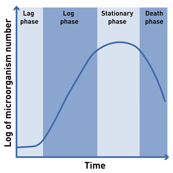 Fig. 1: Microbial growth curve. Typical course of the number of microorganisms in a batch culture.