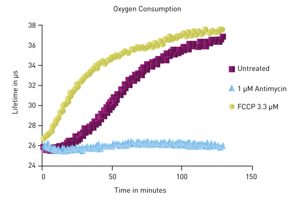 Figure 1: Different levels of oxygen consumption displayed by cells treated with antimycin and FCCP as compared to untreated cells
