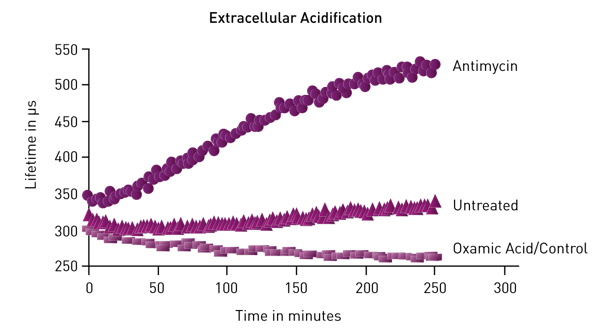 Fig.1: example of extracellular acidification curve