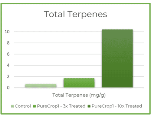 Terpene Graph