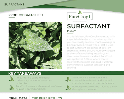 One-Sheet-Insert_SURFACTANT 2