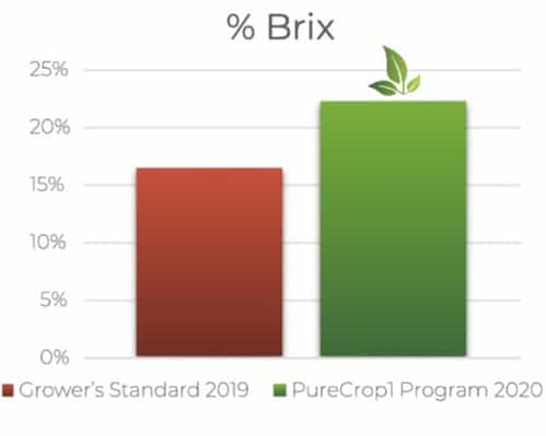 Table Grape Data - Brix button