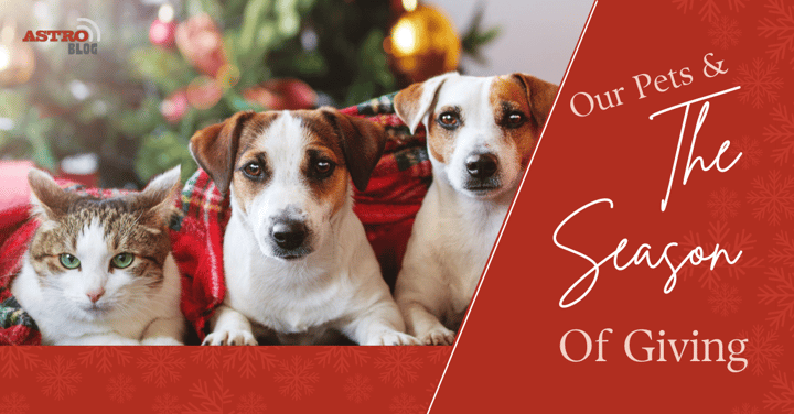 Our Pets & The Season of Giving