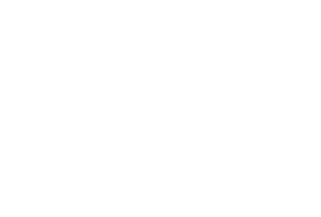 NEF-badge-rectangle-white-2022