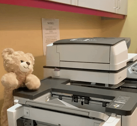 bear printer
