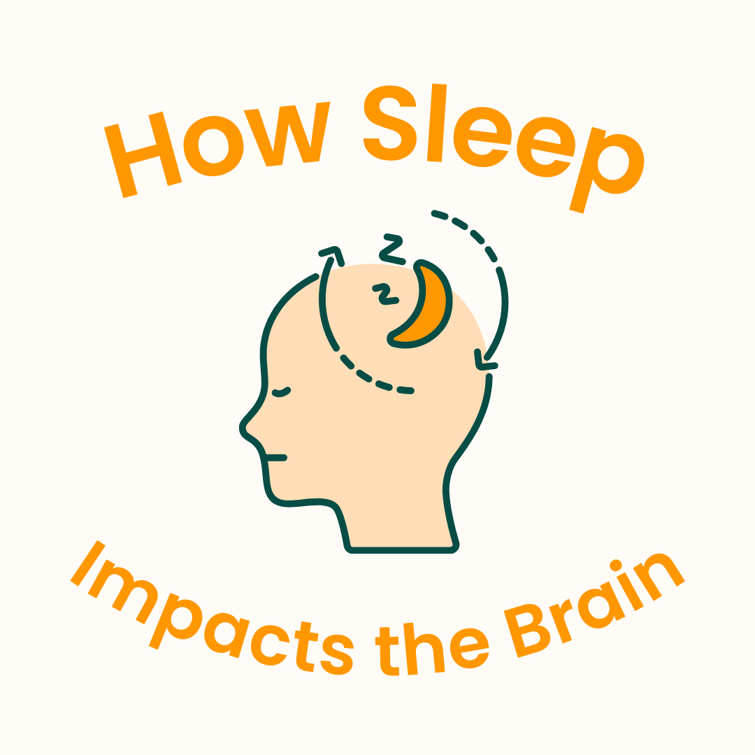How Sleep Impacts the Brain