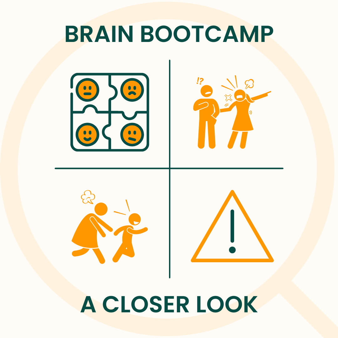 A Closer Look Into the Brain Bootcamp Course