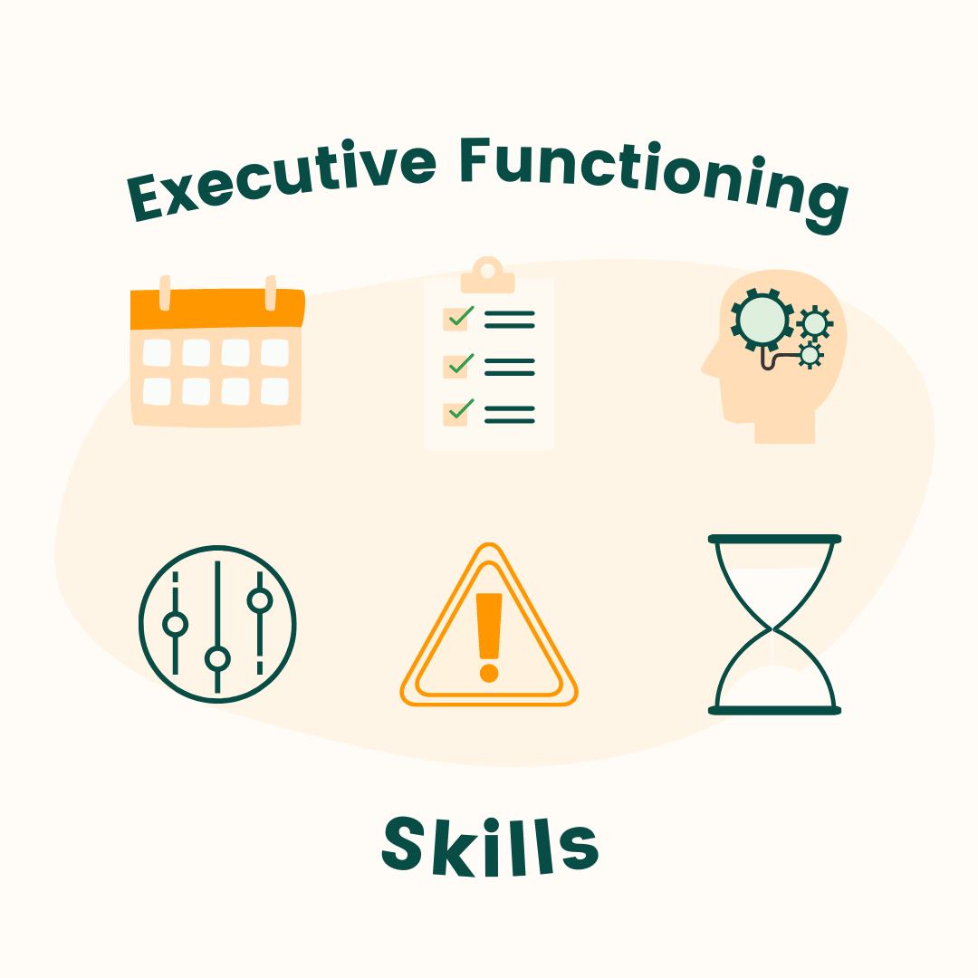 Understanding the Executive Functions of the Brain