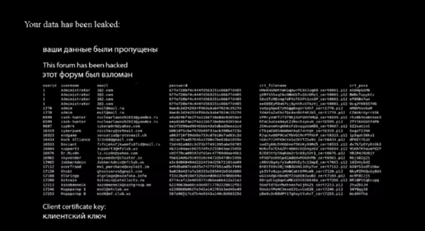 Крупный русскоязычный хакерский форум Maza стал жертвой утечки данных