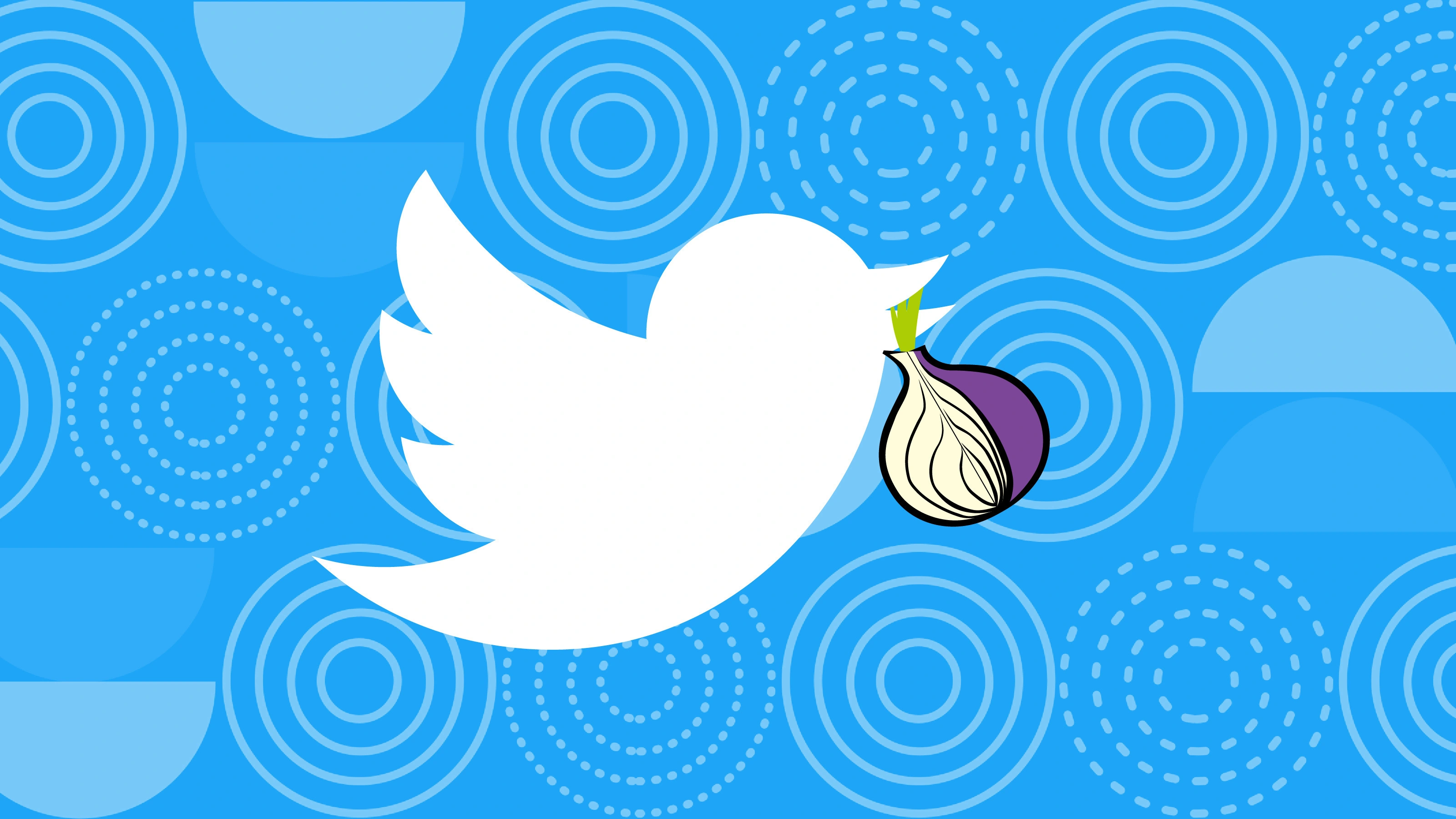 Социальная сеть Twitter объявила о запуске своего веб-приложения в сети Tor