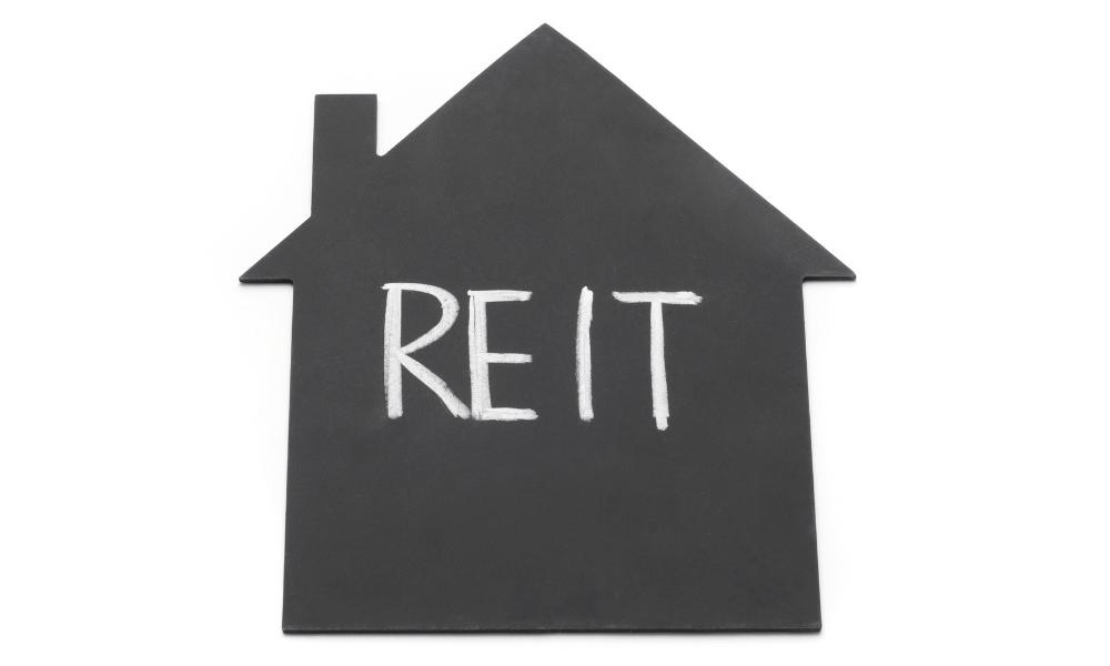 Real Estate Investing Trusts 101: An Introduction to REITs